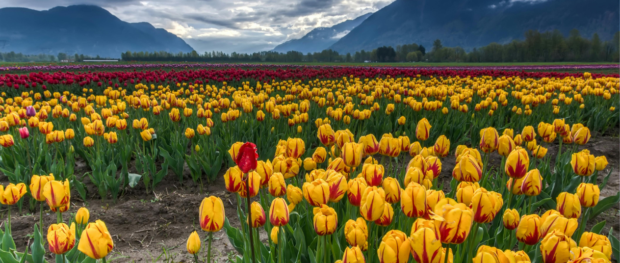 From School to World